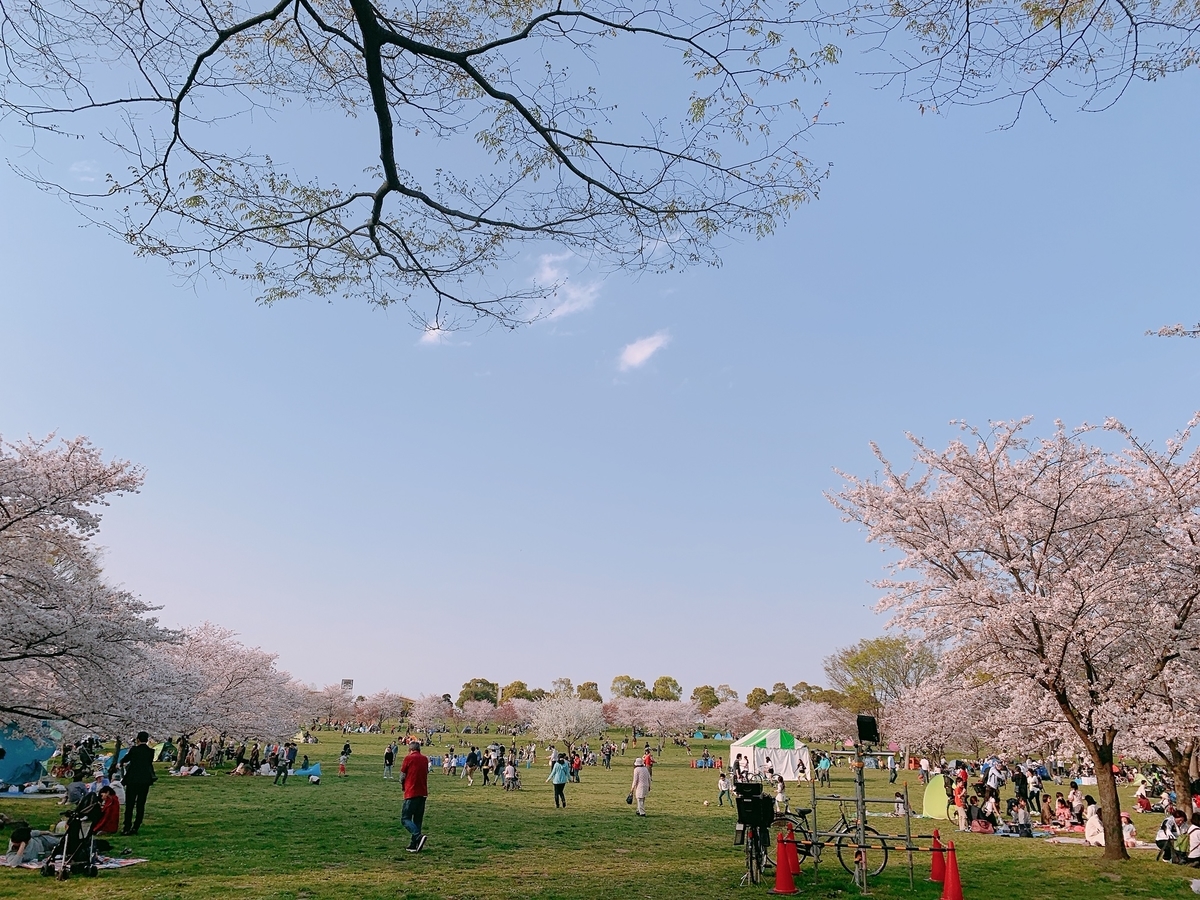 f:id:skyfrogs:20190410000535j:plain