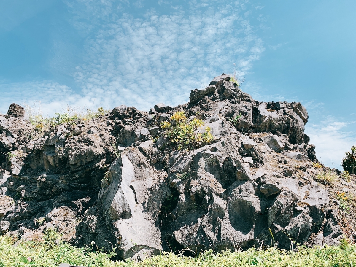 f:id:skyfrogs:20190424004404j:plain