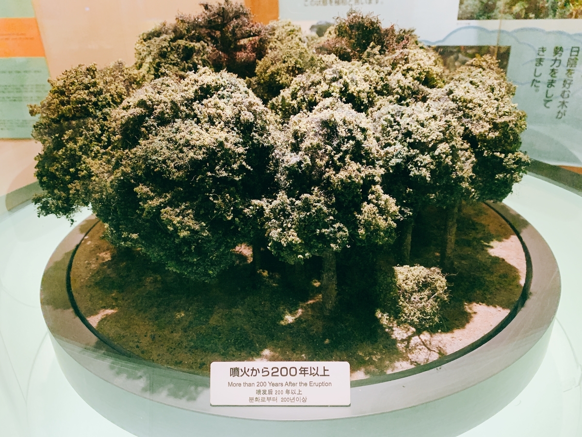f:id:skyfrogs:20190424004448j:plain f:id:skyfrogs:20190424004448j:plain