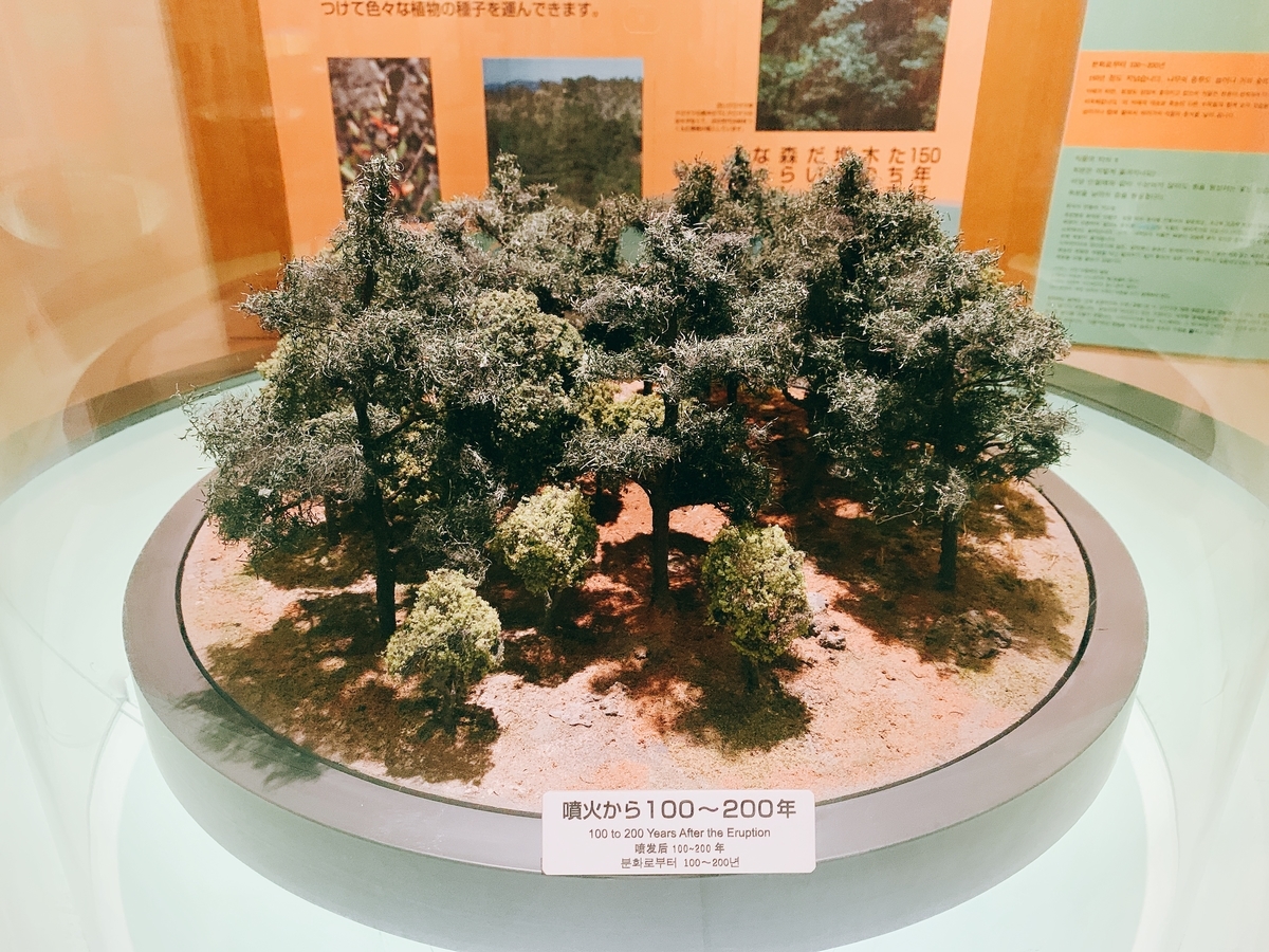 f:id:skyfrogs:20190424004459j:plain f:id:skyfrogs:20190424004459j:plain