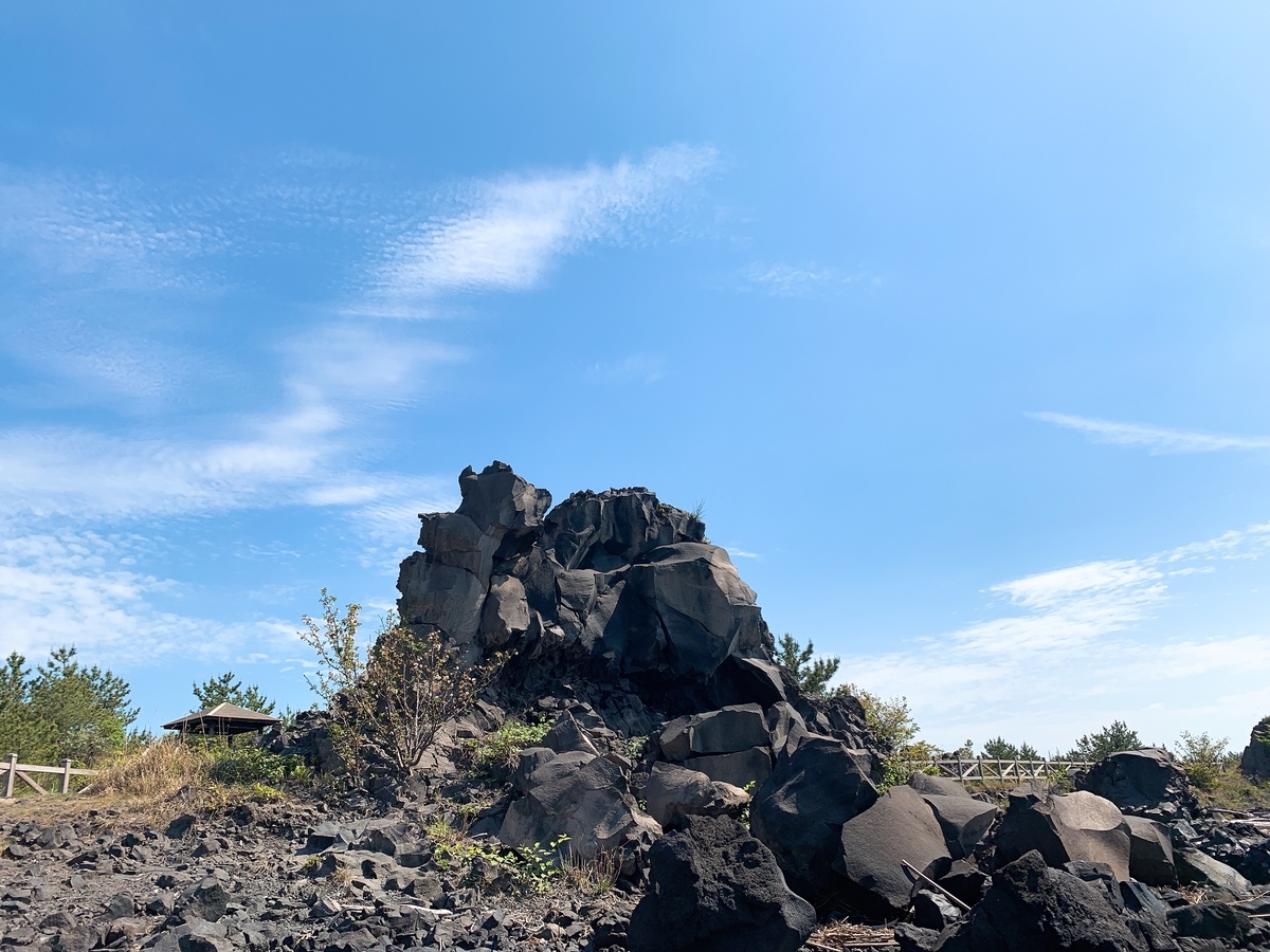 f:id:skyfrogs:20190424012146j:plain