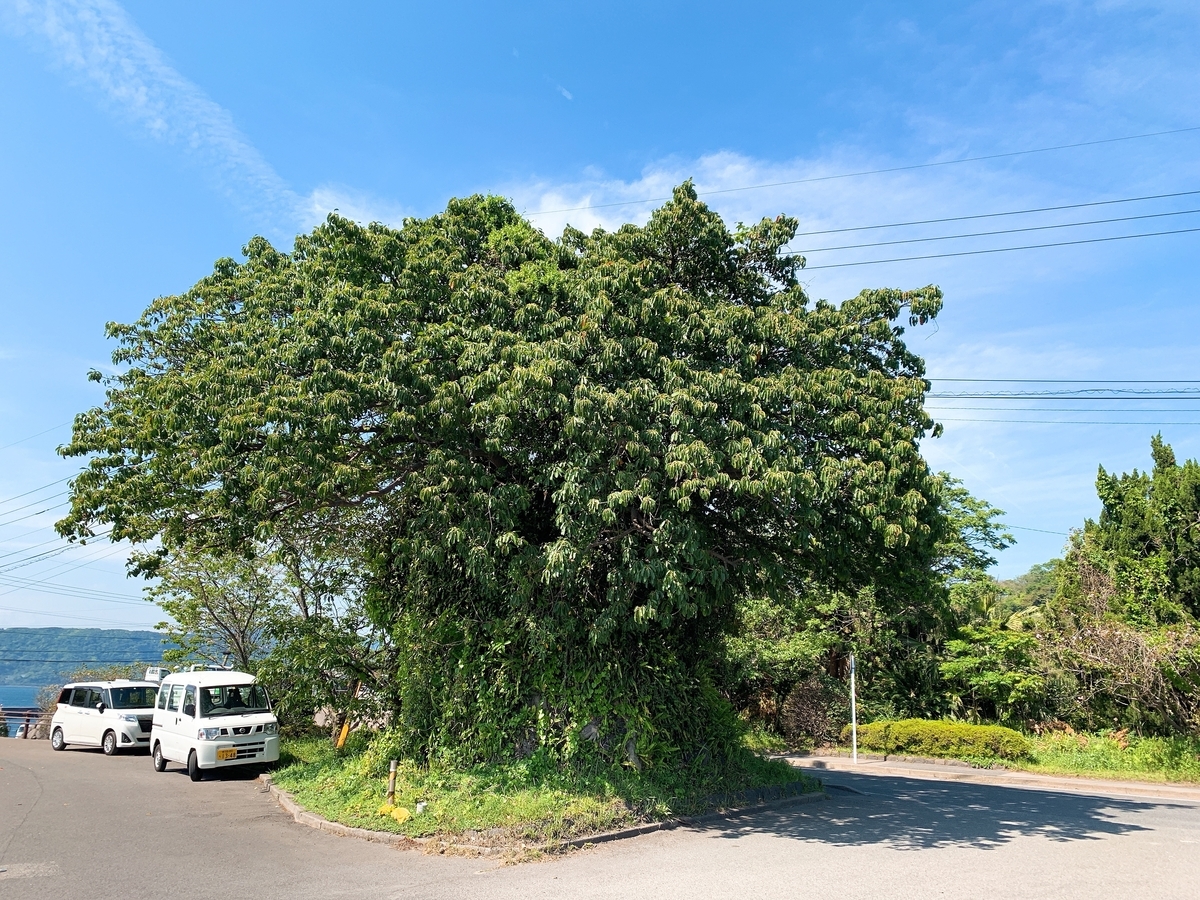 f:id:skyfrogs:20190424013436j:plain