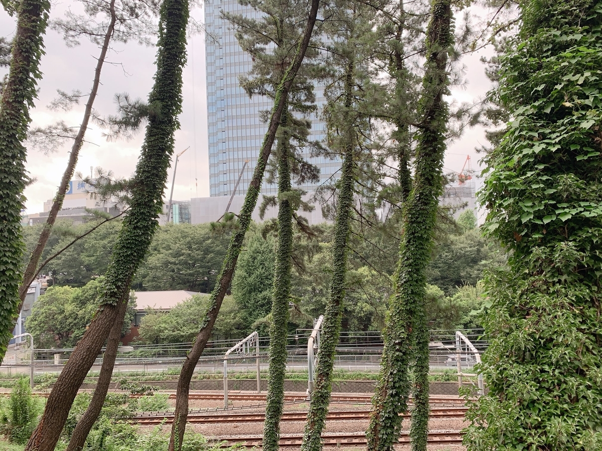 f:id:skyfrogs:20190821005837j:plain f:id:skyfrogs:20190821005837j:plain