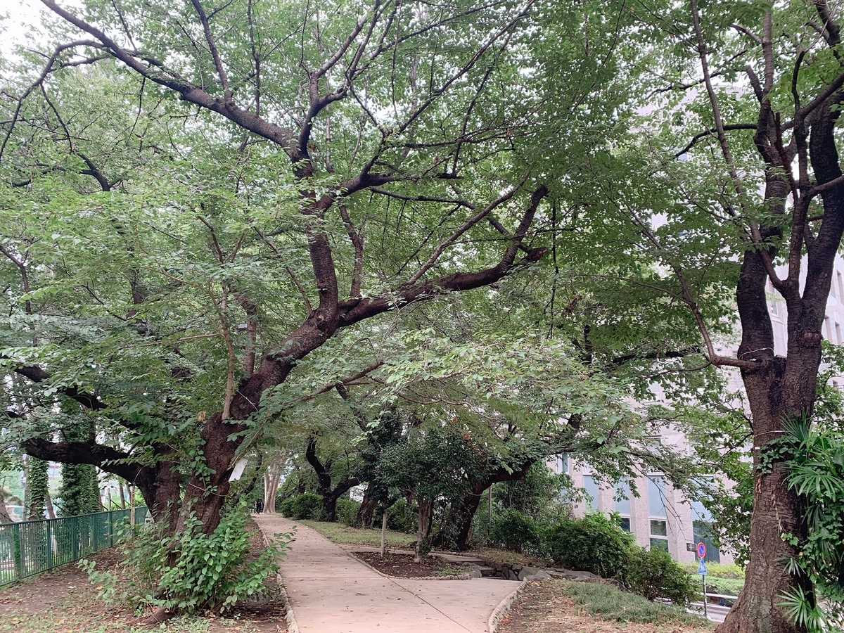 f:id:skyfrogs:20190821005842j:plain f:id:skyfrogs:20190821005842j:plain