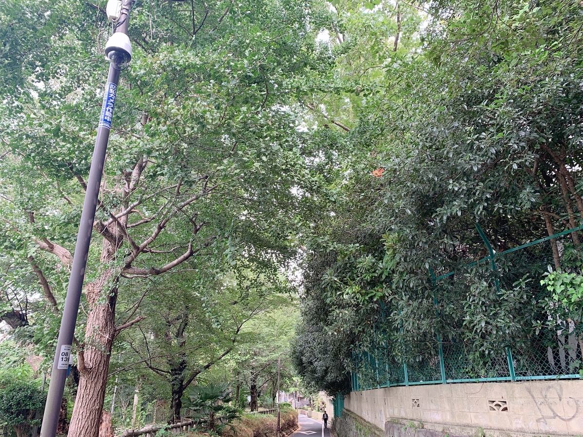 f:id:skyfrogs:20190821005848j:plain f:id:skyfrogs:20190821005848j:plain