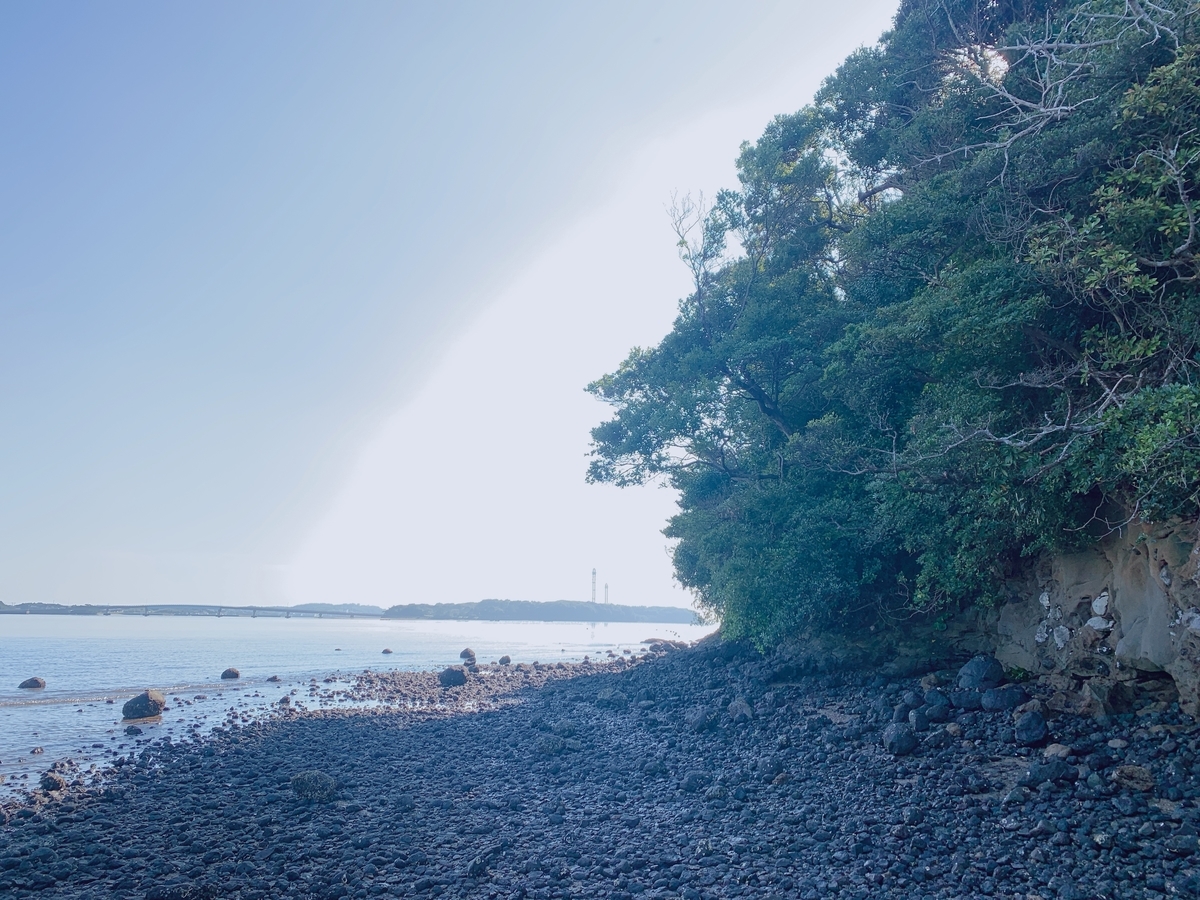 f:id:skyfrogs:20191012220021j:plain f:id:skyfrogs:20191012220021j:plain