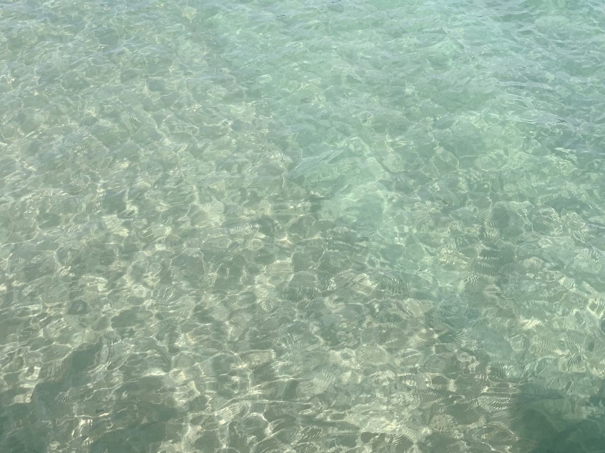f:id:skyfrogs:20191012222224j:plain f:id:skyfrogs:20191012222224j:plain