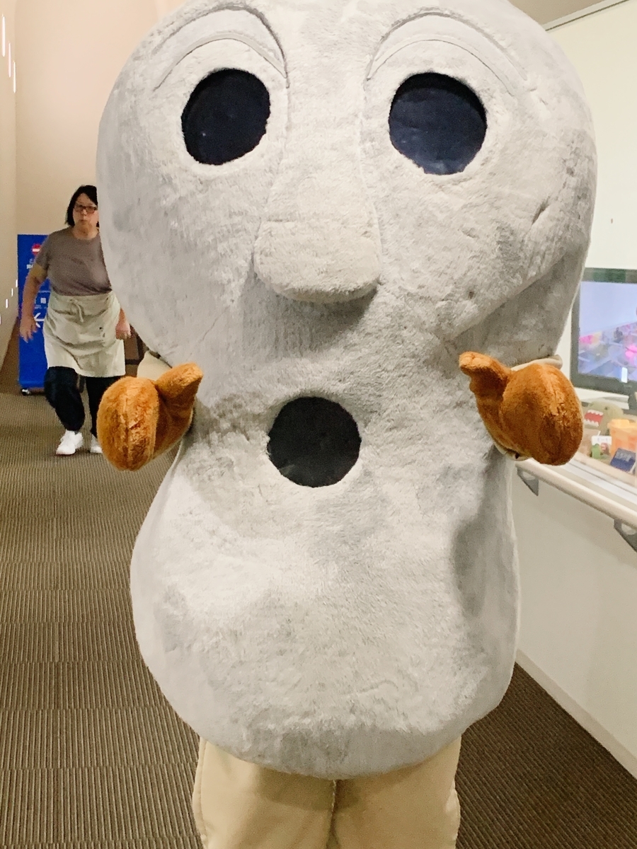 f:id:skyfrogs:20191013001611j:plain