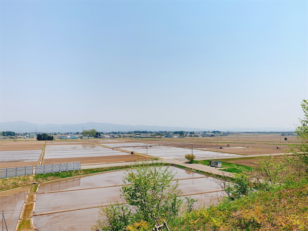 田んぼ道 のんべえ手帖 田んぼ道 のんべえ手帖