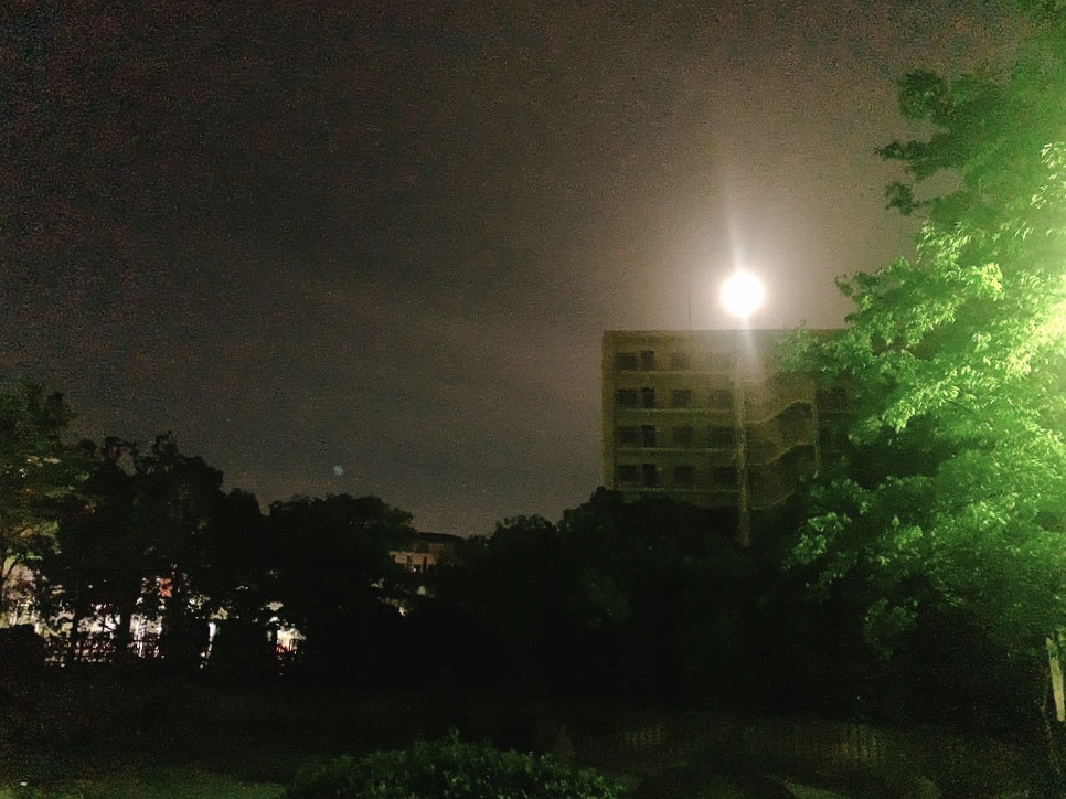 f:id:skyfrogs:20200509000507j:plain f:id:skyfrogs:20200509000507j:plain