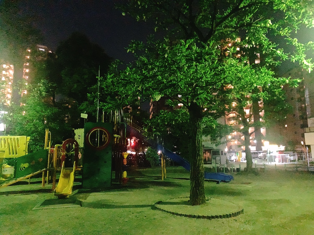 f:id:skyfrogs:20200509000515j:plain f:id:skyfrogs:20200509000515j:plain