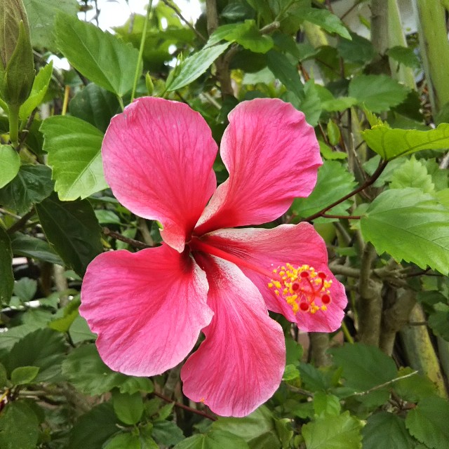 f:id:skygreensea:20180505074602j:image f:id:skygreensea:20180505074602j:image