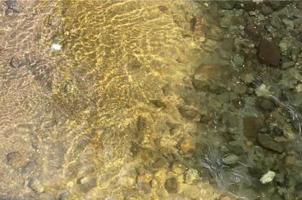 f:id:skyhighbright:20250825105653j:image f:id:skyhighbright:20250825105653j:image