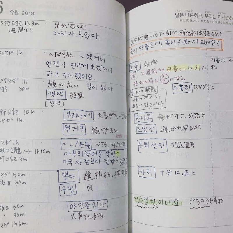 f:id:skykiroku:20190620235055j:plain f:id:skykiroku:20190620235055j:plain