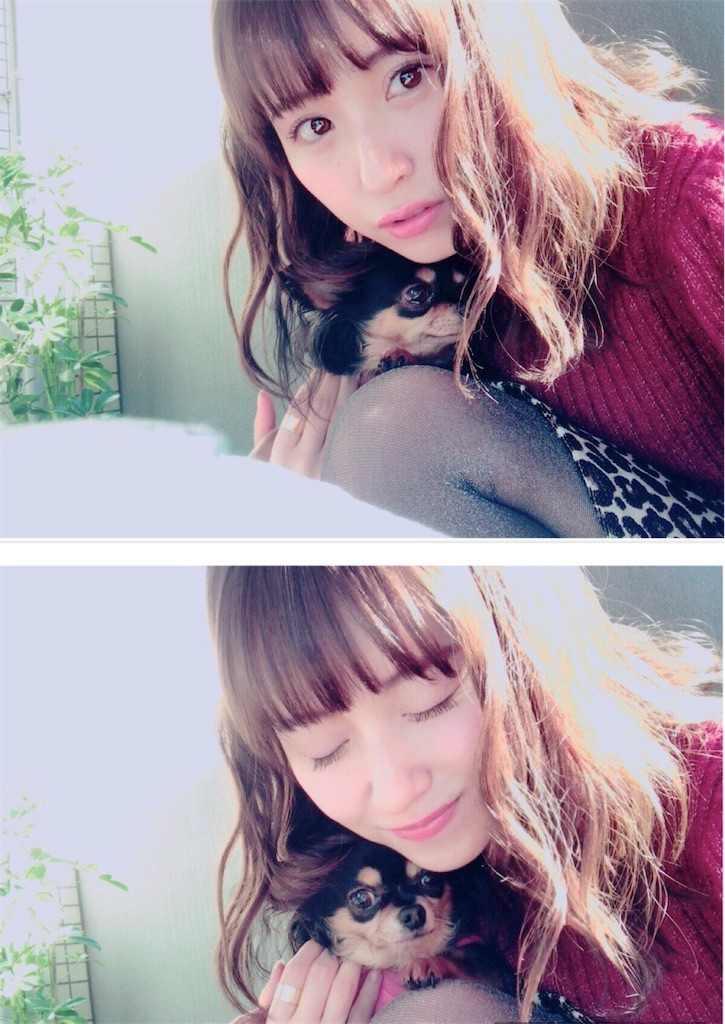 f:id:skyline05walking:20170131201928j:image