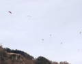 f:id:skypark:20120115134914j:image:medium