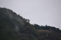 f:id:skypark:20131022120844j:image:medium
