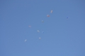 f:id:skypark:20131201180924j:image:medium:left