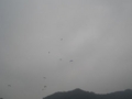 20160123172824