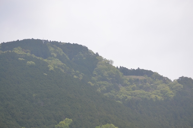 f:id:skypark:20180423154124j:image:w360 f:id:skypark:20180423154124j:image:w360