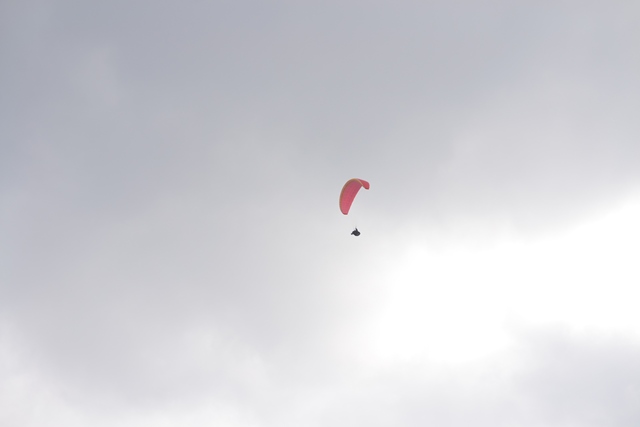 f:id:skypark:20190210160427j:plain f:id:skypark:20190210160427j:plain