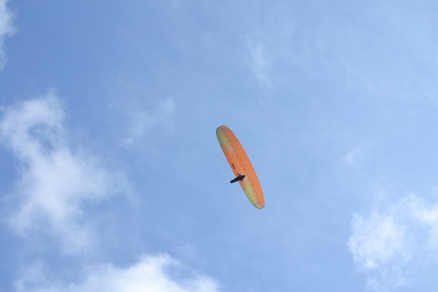 f:id:skypark:20190210160428j:plain f:id:skypark:20190210160428j:plain