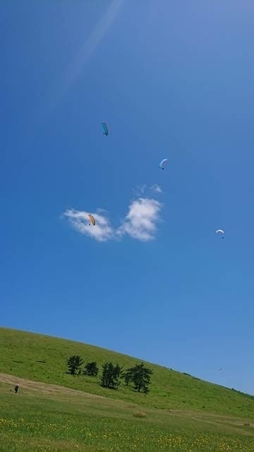f:id:skypark:20190709171843j:plain f:id:skypark:20190709171843j:plain