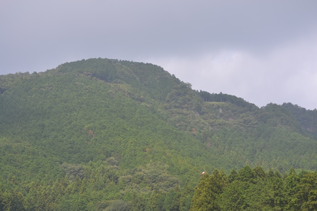 f:id:skypark:20190819143818j:plain f:id:skypark:20190819143818j:plain