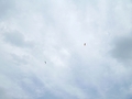 20260420180038