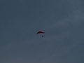 20260601165951