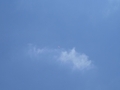 20260613155557