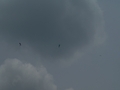 20260614162605