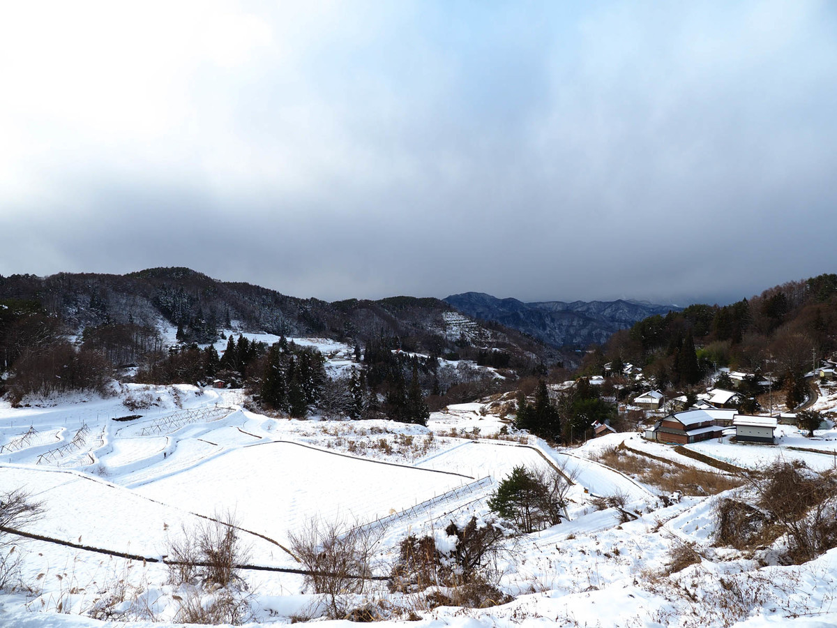 f:id:skyriser:20201218143600j:plain