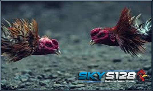 f: id: skys 128: 20181010072459j: polos