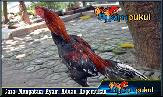 f:id:skys128:20181014073104j:plain