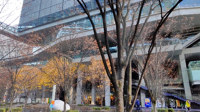f:id:skysetlab:20231231132659j:image