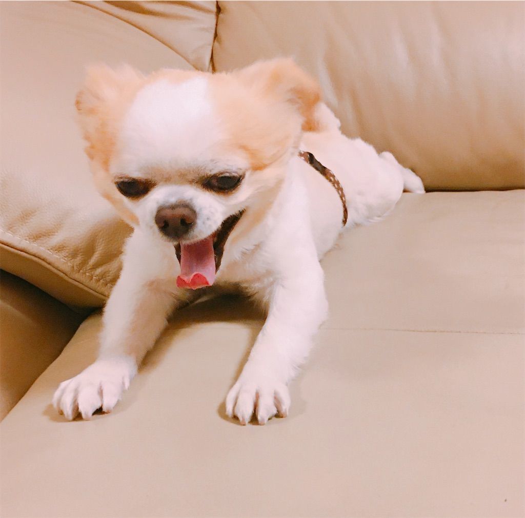 f:id:skysky28:20210817191127j:image
