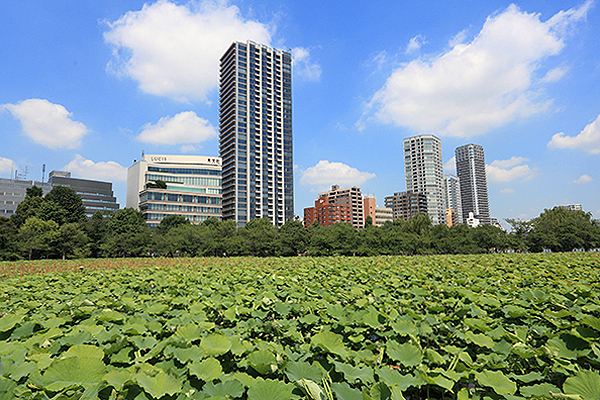 ブリリアタワー上野池之端