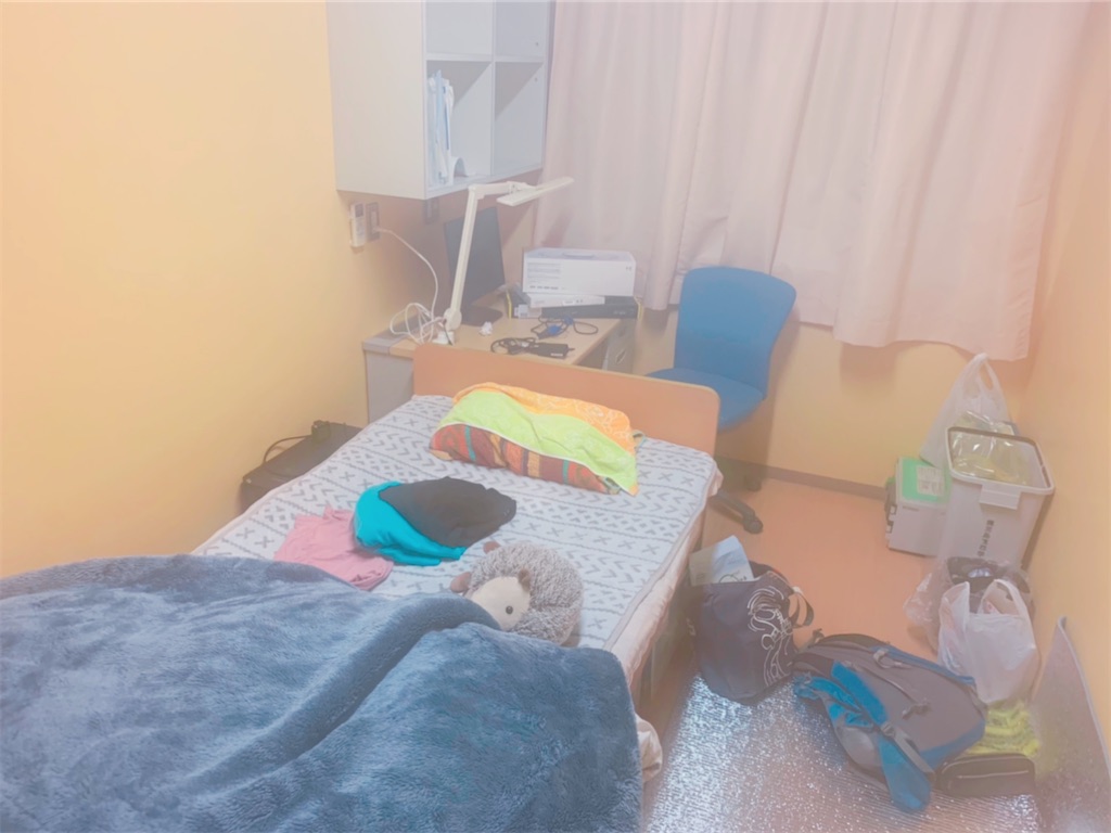 f:id:skytomo:20210405200413j:plain