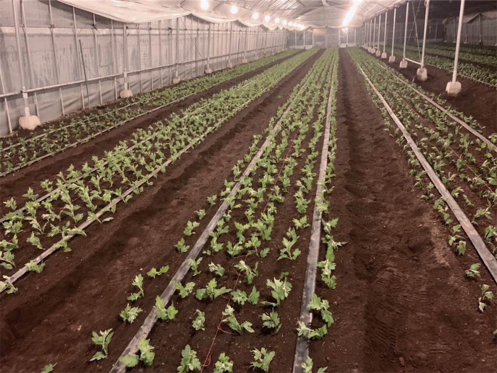 f:id:skytomo:20210526013754j:plain