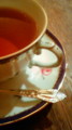20090505131200