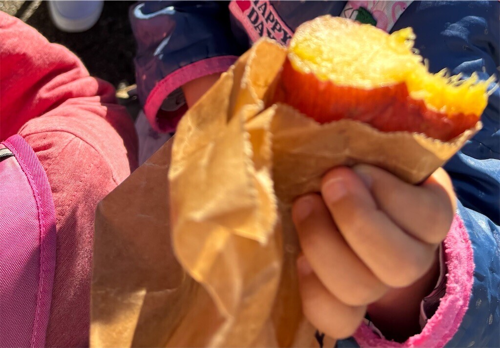 f:id:skytwo:20251103201111j:image