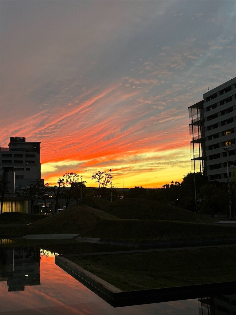 f:id:skytwo:20251103214114j:image