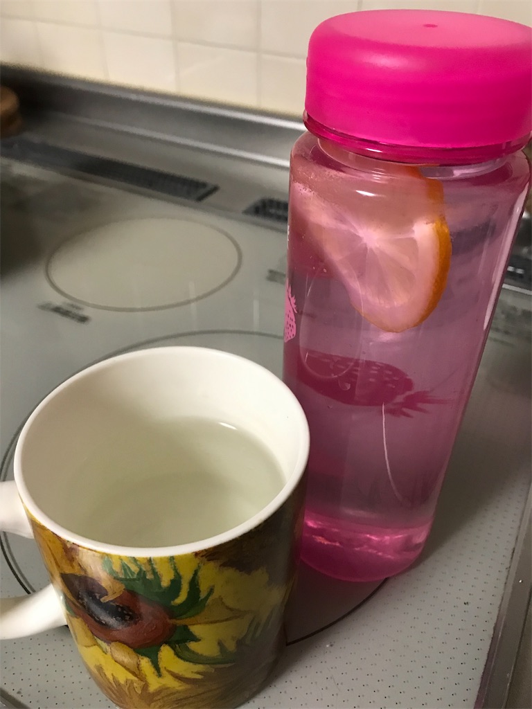 f:id:skyzone:20190201172347j:image