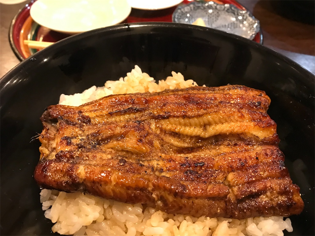 f:id:skyzone:20190322142615j:image