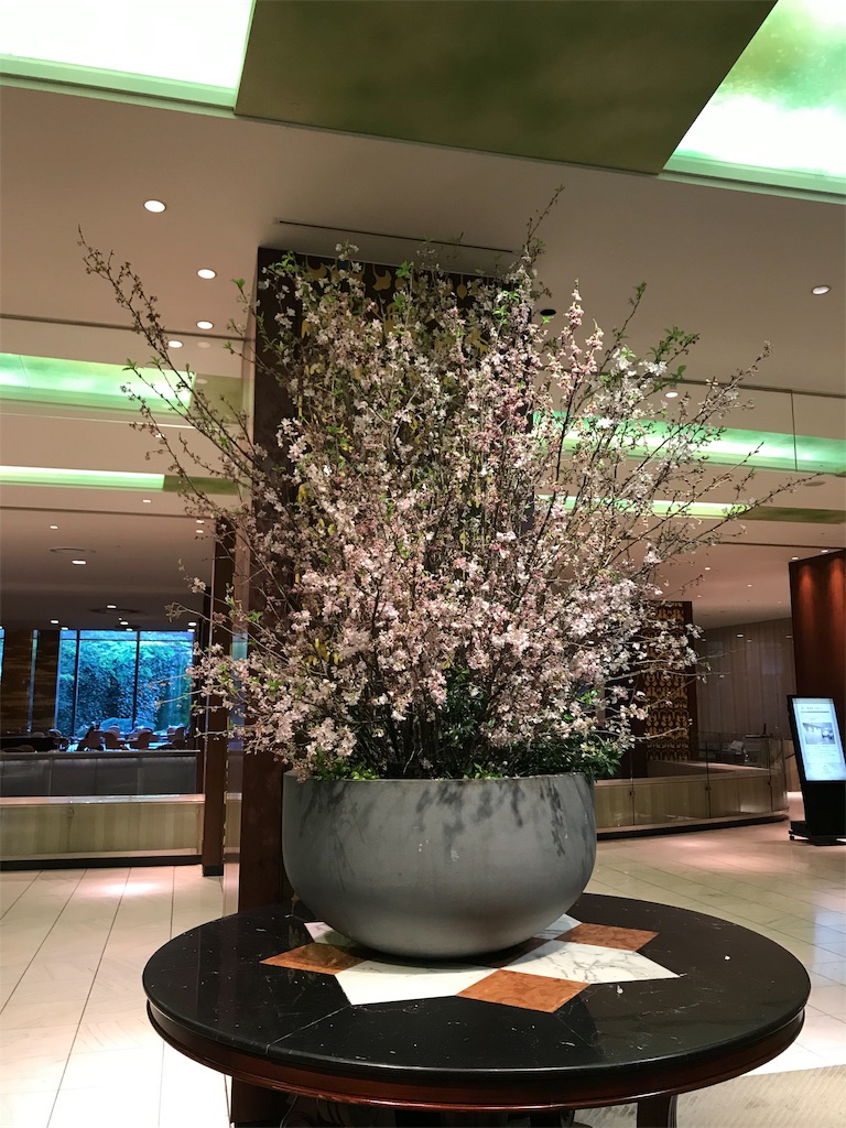f:id:skyzone:20190405121105j:image f:id:skyzone:20190405121105j:image