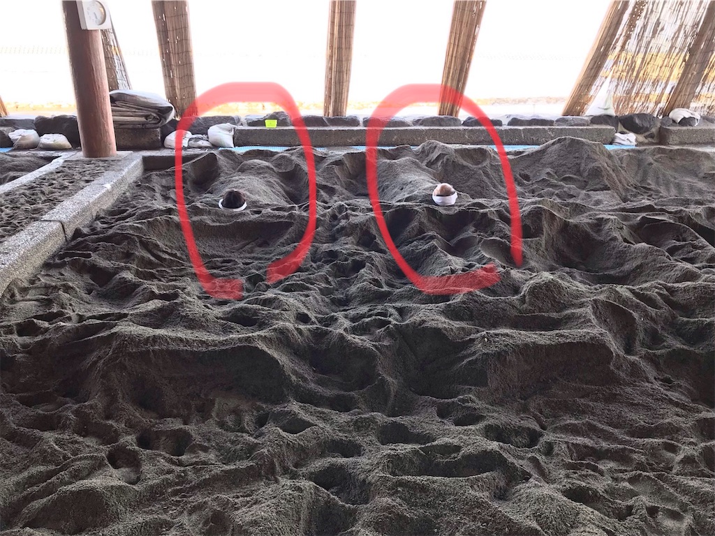 f:id:skyzone:20190422044704j:image