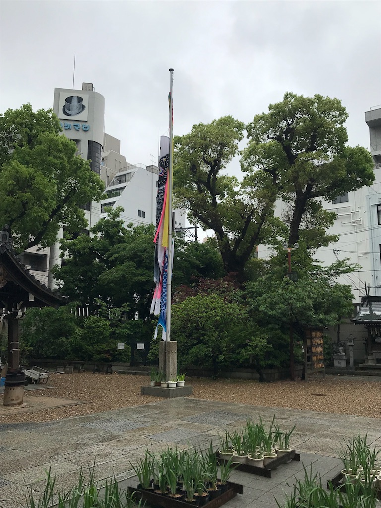 f:id:skyzone:20190501134854j:image f:id:skyzone:20190501134854j:image