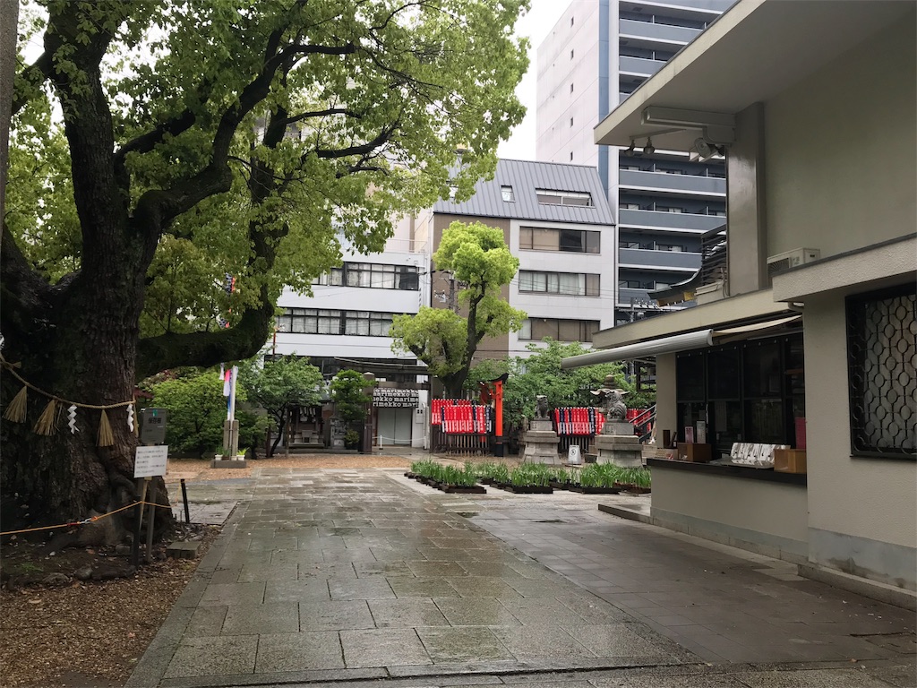 f:id:skyzone:20190501135024j:plain f:id:skyzone:20190501135024j:plain