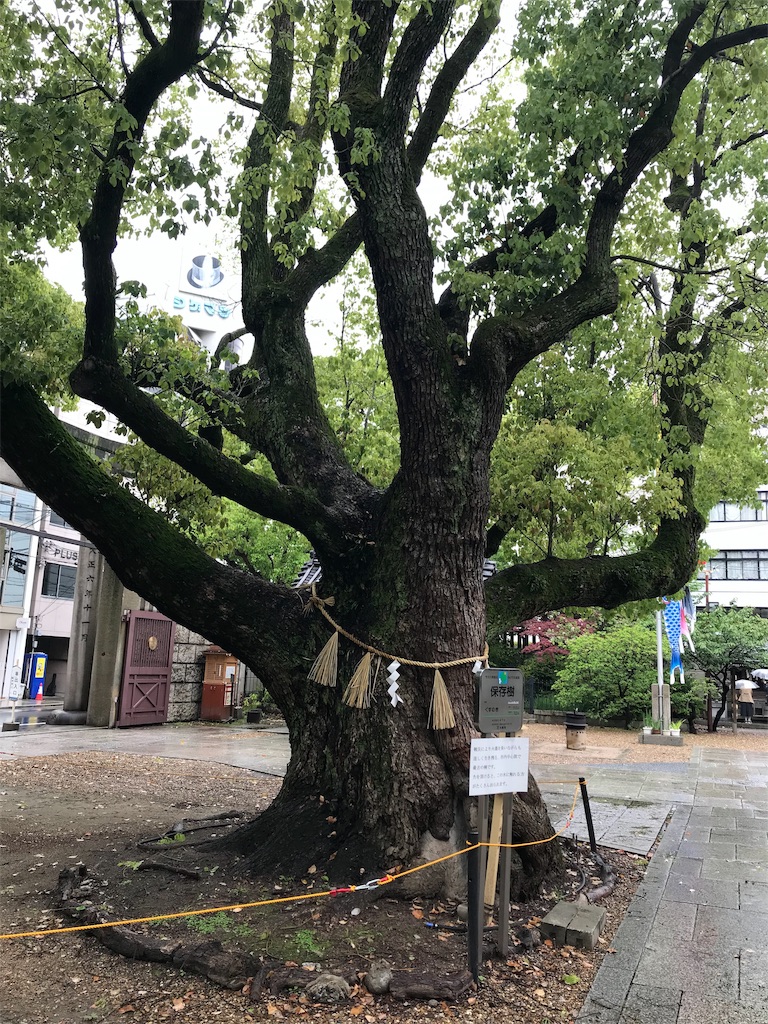 f:id:skyzone:20190502065207j:image f:id:skyzone:20190502065207j:image